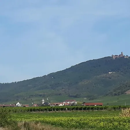 Сasa de vacaciones Du Forgeron - 6 A 8 Personnes - Centre Alsace - Saint-hippolyte *