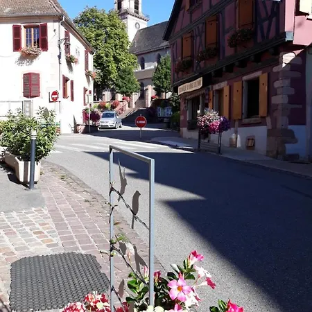 Prázdninový dům Du Forgeron - 6 A 8 Personnes - Centre Alsace - Saint-hippolyte
