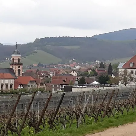 Du Forgeron - 6 A 8 Personnes - Centre Alsace - Saint-hippolyte *