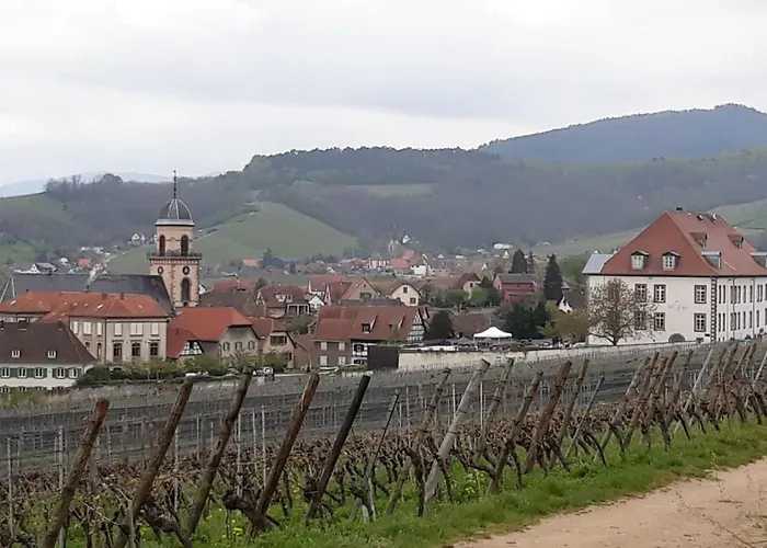 Du Forgeron - 6 A 8 Personnes - Centre Alsace - Saint-hippolyte *